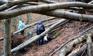 ALCEDO | Mátra – Megint feladjuk?