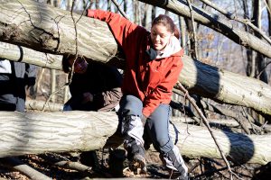 ALCEDO | Mátra – Megint feladjuk?