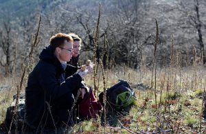 ALCEDO | Mátra – Megint feladjuk?