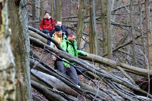 ALCEDO | Mátra – Megint feladjuk?