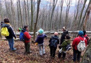 ALCEDO | Mátra – Megint feladjuk?